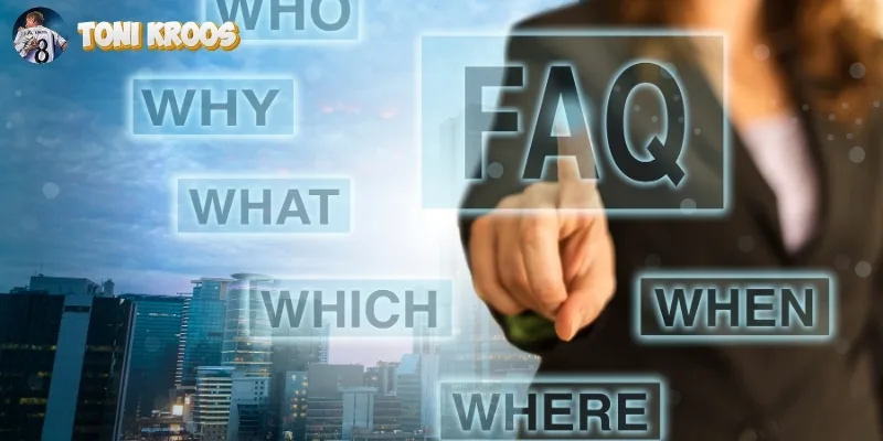 Hỗ trợ và phản hồi người dùng