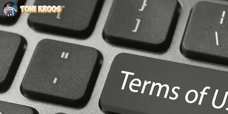 Quyền lợi và nghĩa vụ người dùng